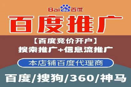 百度竞价代理的投放技巧与效果评估案例